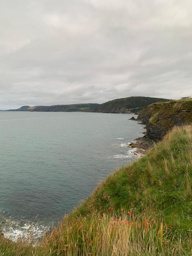 Wild Coastal Retreat At Troed Y Rhiw Aberporth, West Wales Villa Eksteriør billede
