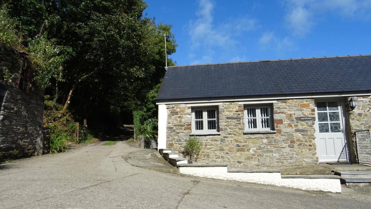 Wild Coastal Retreat At Troed Y Rhiw Aberporth, West Wales Villa Eksteriør billede